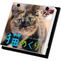 猫めくり 2025年 カレンダー 日めくり 