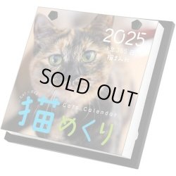 画像1: 猫めくり 2025年 カレンダー 日めくり 