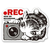 ステッカー　ＲＥＣ＃4