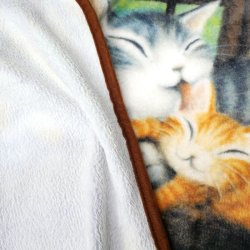 画像3: フランネルブランケット　アルス