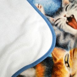 画像3: フランネルブランケット　猫の島