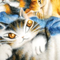 画像2: フランネルブランケット　猫の島