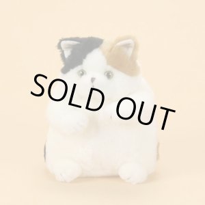 画像: でぶ猫　こばん　S