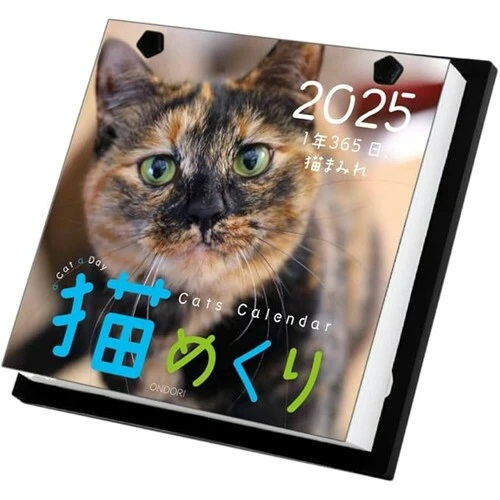 画像1: 猫めくり 2025年 カレンダー 日めくり 